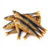 Dehydrated Sardine Dog Treats High Protein Omega-3 Makalu-1
