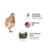 Whole Dehydrated Quail Dog Food by Undique Pet Supplies-3