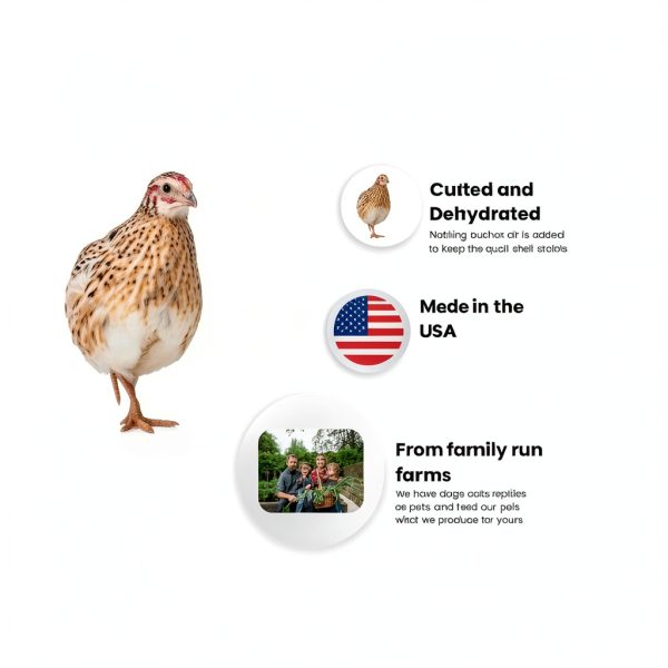 Whole Dehydrated Quail Dog Food by Undique Pet Supplies-3