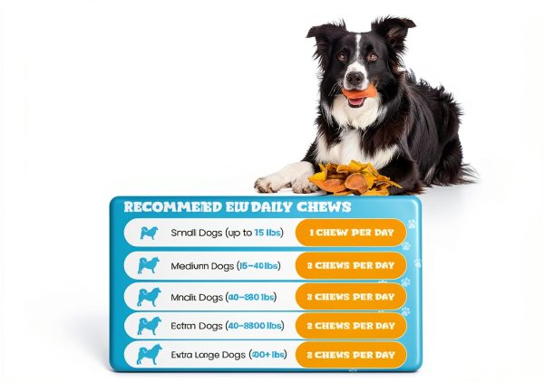 Hotspot Pets Dehydrated Dog Treats Natural Protein Snacks-6