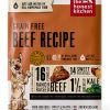 Honest Kitchen Grain Free Beef Dog Food Dehydrated-1