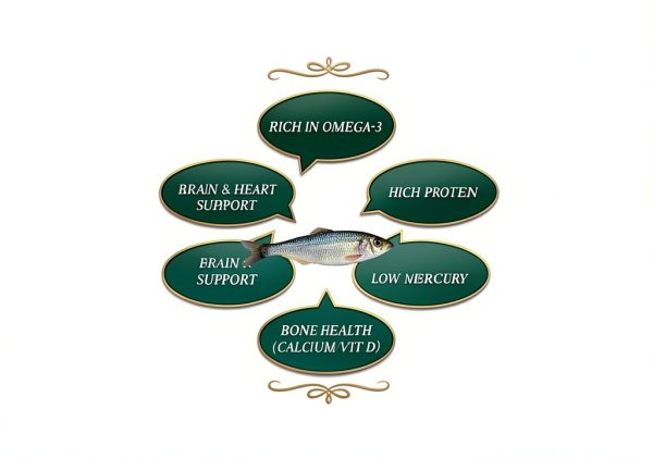 Dehydrated Sardine Dog Treats High Protein Omega-3 Makalu-5