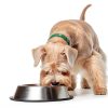 Elevate Pet Provisions Dog Food Topper Natural Ingredients-7