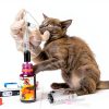 HiMo 5ml Syringe for Liquid Lab Dispensing Pet Feeding-4